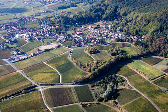 Winzerdorf am Haardtrand aus Norden in Burrweiler im Bundesland Rheinland-Pfalz, Deutschland