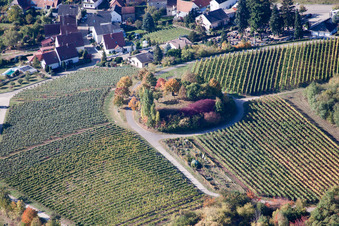 Baum-Insel auf einem Weinberg in Burrweiler im Bundesland Rheinland-Pfalz, Deutschland