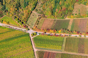Luftaufnahme von Weinberge am Haardtrand Modenbachtalstr in Weyher in der Pfalz im Bundesland Rheinland-Pfalz, Deutschland