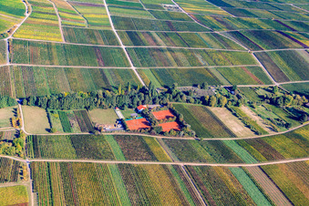 Tennisclub Modenbachtal von Süden in Hainfeld im Bundesland Rheinland-Pfalz, Deutschland