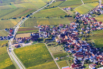 Weinstr in Burrweiler im Bundesland Rheinland-Pfalz, Deutschland
