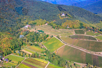 St.-Anna-Kapelle über dem Weingut St. Annaberg in Burrweiler im Bundesland Rheinland-Pfalz, Deutschland
