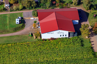 Weingut Lidy in Frankweiler im Bundesland Rheinland-Pfalz, Deutschland
