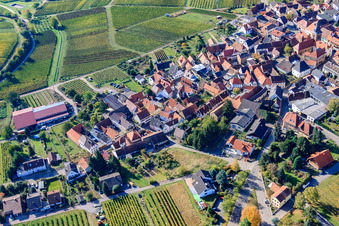 Luftbild von Dorfbornstr in Frankweiler im Bundesland Rheinland-Pfalz, Deutschland