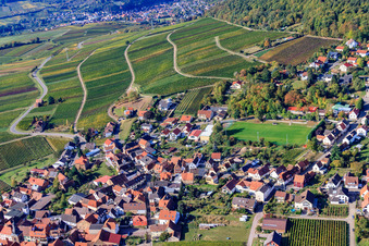 Weinlage Haardtrand-Käfernberg in Frankweiler im Bundesland Rheinland-Pfalz, Deutschland
