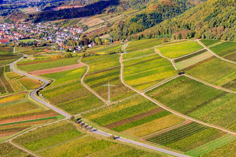 Schrägluftbild von Weinlage Haardtrand-Käfernberg in Frankweiler im Bundesland Rheinland-Pfalz, Deutschland