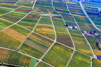Wein- und Sektgut Marienfelder Hof in Siebeldingen im Bundesland Rheinland-Pfalz, Deutschland