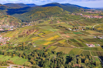 Weinberge zwischen Albersweiler und Frankweiler in Siebeldingen im Bundesland Rheinland-Pfalz, Deutschland