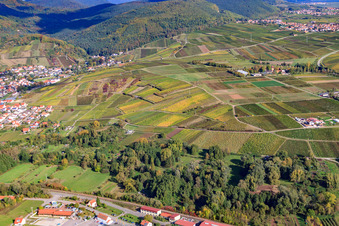 Weinberge zwischen Albersweiler und Siebeldingen im Bundesland Rheinland-Pfalz, Deutschland