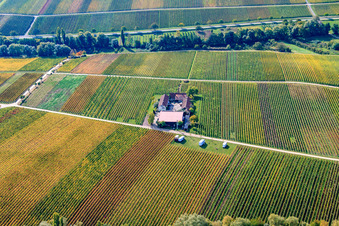 Weingut Erlenwein in Ilbesheim bei Landau im Bundesland Rheinland-Pfalz, Deutschland