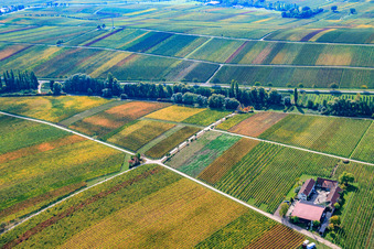Luftaufnahme von Weingut Erlenwein in Ilbesheim bei Landau im Bundesland Rheinland-Pfalz, Deutschland