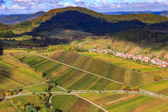 Weinberge am Ranschbachtal in Birkweiler im Bundesland Rheinland-Pfalz, Deutschland