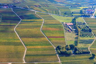 Hirtenbrunner Hof an der Aalmühl in Ilbesheim bei Landau im Bundesland Rheinland-Pfalz, Deutschland