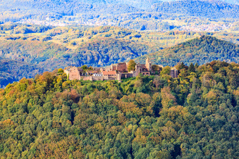 Madenburg von Osten in Eschbach im Bundesland Rheinland-Pfalz, Deutschland