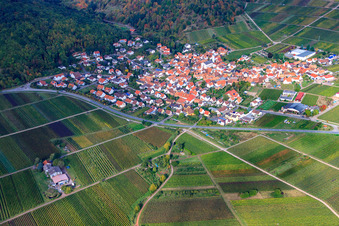 Weingut Herrenhof in Eschbach im Bundesland Rheinland-Pfalz, Deutschland