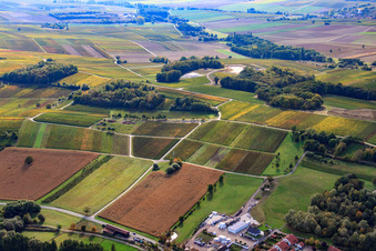 Zwischen Klingbach- und Horbachtal in Klingenmünster im Bundesland Rheinland-Pfalz, Deutschland