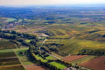 Sportplatz des SV Klingenmünster e.V. im Klingbachtal im Bundesland Rheinland-Pfalz, Deutschland