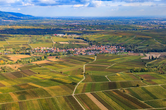 Winzerdorf zwischen Weinbergen von Süden in Göcklingen im Bundesland Rheinland-Pfalz, Deutschland