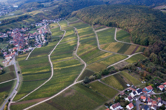 Weinlage Gottesacker am Haardtrand im Ortsteil Pleisweiler in Pleisweiler-Oberhofen im Bundesland Rheinland-Pfalz, Deutschland