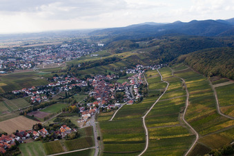Luftbild von Weinlage Gottesacker am Haardtrand im Ortsteil Pleisweiler in Pleisweiler-Oberhofen im Bundesland Rheinland-Pfalz, Deutschland