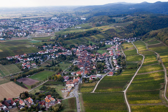 Am Schloßberg im Ortsteil Pleisweiler in Pleisweiler-Oberhofen im Bundesland Rheinland-Pfalz, Deutschland