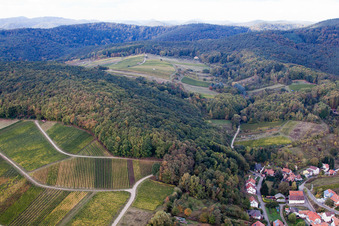 Haardtrand mit Weinlagen Gottesacker und Wolfsteig im Ortsteil Pleisweiler in Pleisweiler-Oberhofen im Bundesland Rheinland-Pfalz, Deutschland
