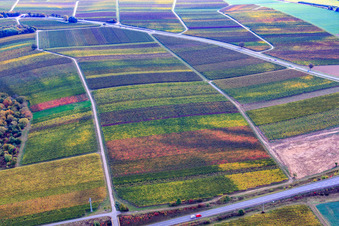 B48 im Ortsteil Pleisweiler in Pleisweiler-Oberhofen im Bundesland Rheinland-Pfalz, Deutschland