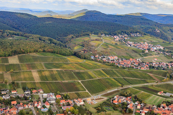 Weinlage Gottesacker am Haardtrand zwischen Oberhofen und Gleishorbach in Pleisweiler-Oberhofen im Bundesland Rheinland-Pfalz, Deutschland