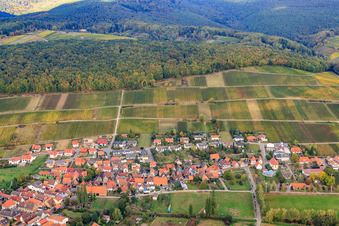 Winzerdorfansicht von Osten und Weinlage Gottesacker im Ortsteil Pleisweiler in Pleisweiler-Oberhofen im Bundesland Rheinland-Pfalz, Deutschland