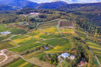 Liebfrauenweg in Bad Bergzabern im Bundesland Rheinland-Pfalz, Deutschland