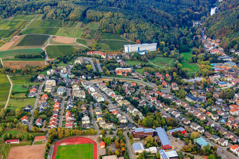 Wiesenstraße Weinstr in Bad Bergzabern im Bundesland Rheinland-Pfalz, Deutschland