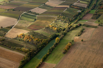 Dierbachtal in Dörrenbach im Bundesland Rheinland-Pfalz, Deutschland