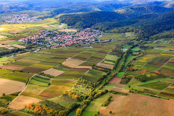 Dierbachtal in Oberotterbach im Bundesland Rheinland-Pfalz, Deutschland