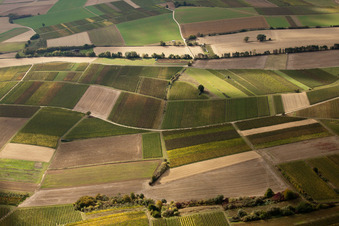 Mosaik aus Feldern und Weinbergen am Rußbach in Schweighofen im Bundesland Rheinland-Pfalz, Deutschland