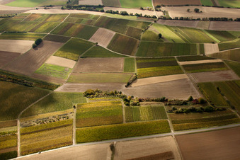 Luftbild von Mosaik aus Feldern und Weinbergen am Rußbach in Schweighofen im Bundesland Rheinland-Pfalz, Deutschland
