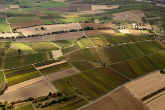 Luftaufnahme von Mosaik aus Feldern und Weinbergen am Rußbach in Schweighofen im Bundesland Rheinland-Pfalz, Deutschland