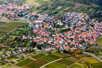 Schrägluftbild von Dorf - Ansicht am Rande von Weinbergen und Wald in Rechtenbach in Schweigen-Rechtenbach im Bundesland Rheinland-Pfalz, Deutschland