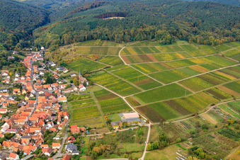 Weingut Cuntz Sonnenhof im Ortsteil Rechtenbach in Schweigen-Rechtenbach im Bundesland Rheinland-Pfalz, Deutschland