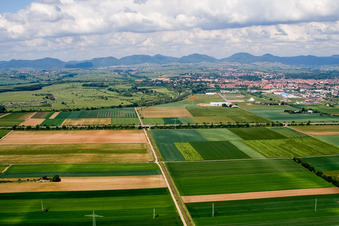 Landau Ebenberg in Landau in der Pfalz im Bundesland Rheinland-Pfalz, Deutschland