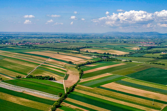 Schleidgraben zur Ausfahrt Landaus Süd der A65 im Ortsteil Mörlheim in Landau in der Pfalz im Bundesland Rheinland-Pfalz, Deutschland