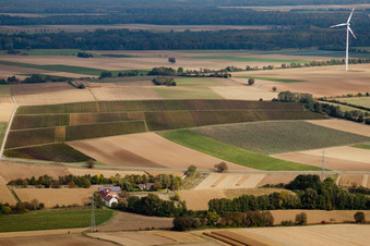 Windkraftanlage am Gehöft der Altmühle am Rand von bestellten Feldern in Minfeld im Bundesland Rheinland-Pfalz, Deutschland