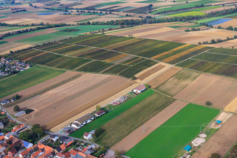 Häckselplatz in Freckenfeld im Bundesland Rheinland-Pfalz, Deutschland