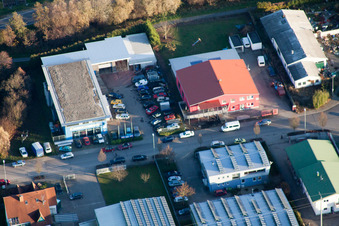 In den Niederwiesen in Wörth am Rhein im Bundesland Rheinland-Pfalz, Deutschland