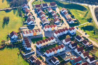 Im Buchhhorst in Wörth am Rhein im Bundesland Rheinland-Pfalz, Deutschland