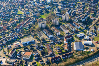 Nachtweide im Ortsteil Maximiliansau in Wörth am Rhein im Bundesland Rheinland-Pfalz, Deutschland