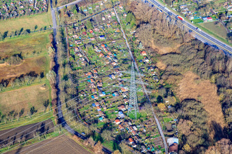 Kleingartenverein Am Kastanienbaum e. V im Ortsteil Knielingen in Karlsruhe im Bundesland Baden-Württemberg, Deutschland