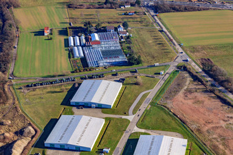 Felix Trauth Gartenbau im Ortsteil Knielingen in Karlsruhe im Bundesland Baden-Württemberg, Deutschland