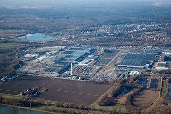Wörth am Rhein, Daimler von Osten im Ortsteil Maximiliansau im Bundesland Rheinland-Pfalz, Deutschland