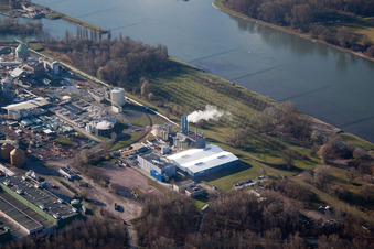 Schrägluftbild von Maxau, Stora Enso im Ortsteil Knielingen in Karlsruhe im Bundesland Baden-Württemberg, Deutschland