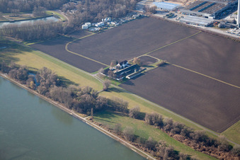 Ortsteil Maximiliansau in Wörth am Rhein im Bundesland Rheinland-Pfalz, Deutschland aus der Drohnenperspektive